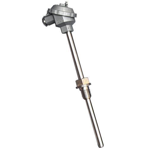 �����ȵ�ż